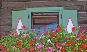 Inklusivleistungen und Preisinformationen Reitsamerhof, SalzburgerLand